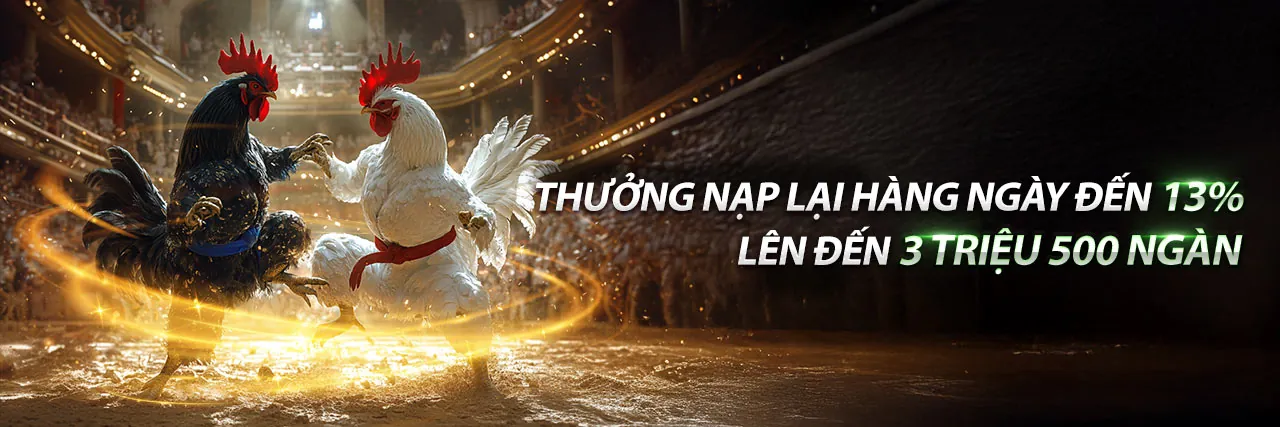 Đá Gà Trực Tuyến 44win55